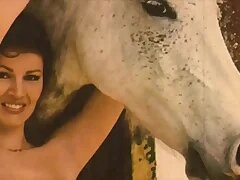 New Porn Videos 31